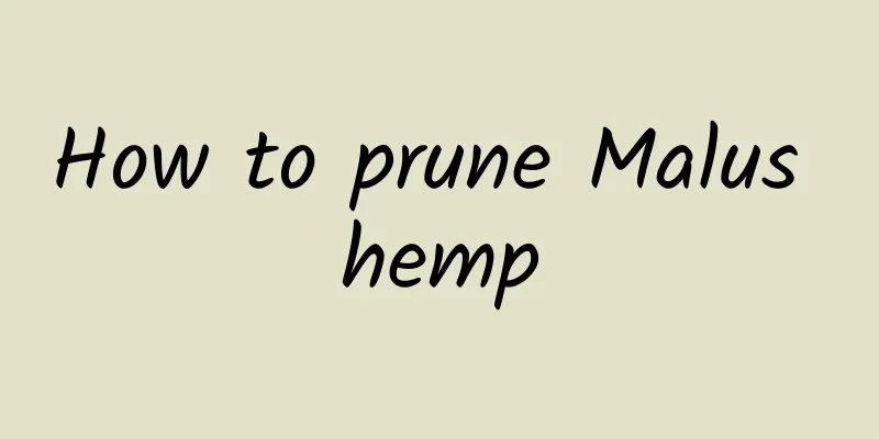 How to prune Malus hemp