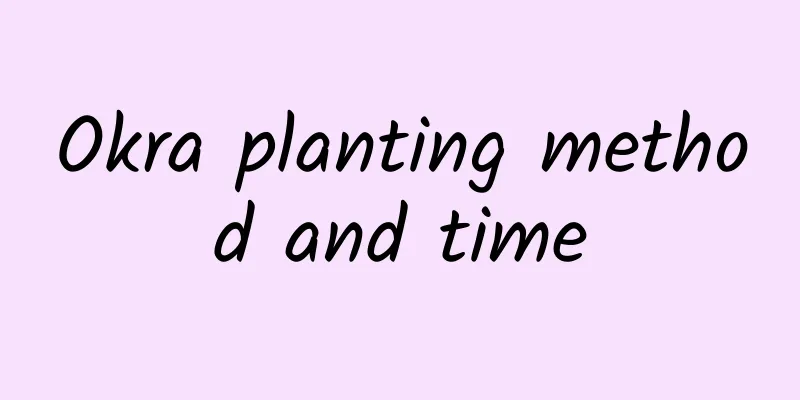 Okra planting method and time