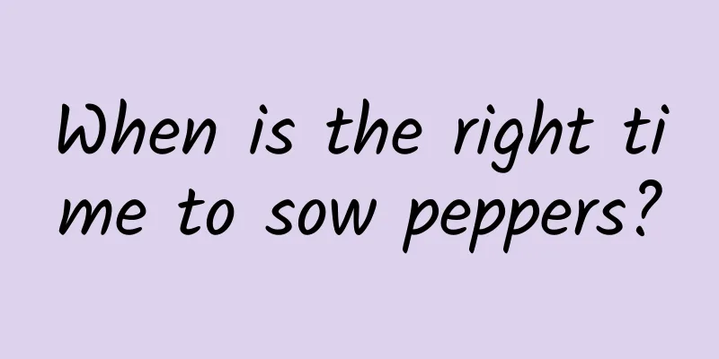 When is the right time to sow peppers?