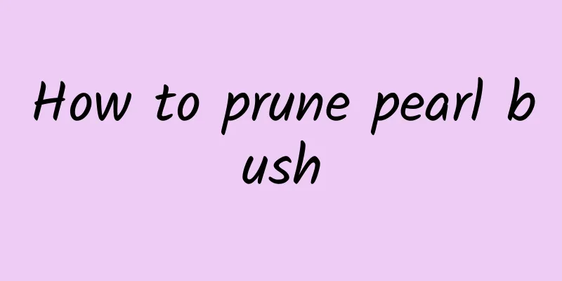 How to prune pearl bush