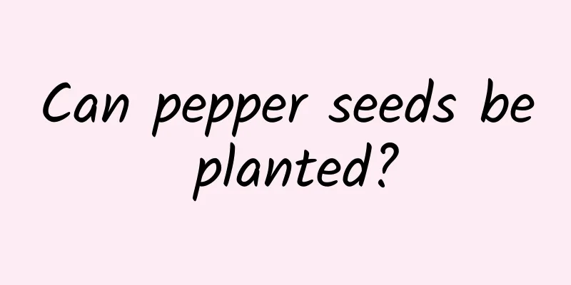 Can pepper seeds be planted?