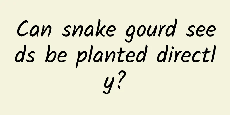 Can snake gourd seeds be planted directly?