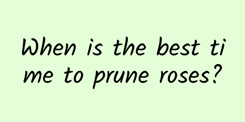 When is the best time to prune roses?