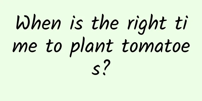 When is the right time to plant tomatoes?