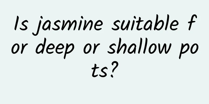 Is jasmine suitable for deep or shallow pots?