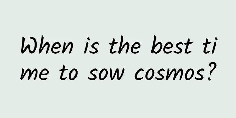 When is the best time to sow cosmos?