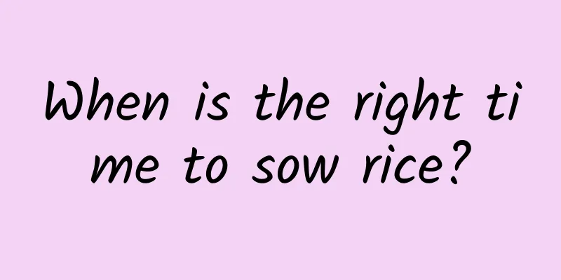 When is the right time to sow rice?