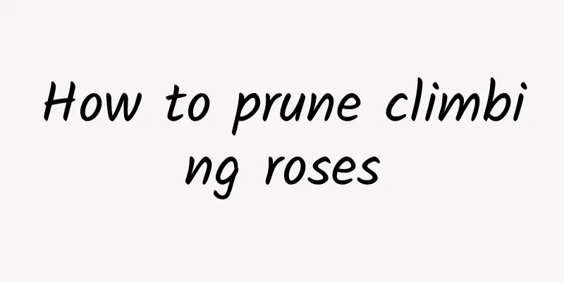 How to prune climbing roses
