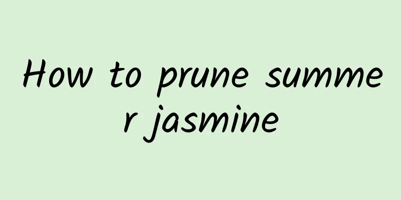 How to prune summer jasmine