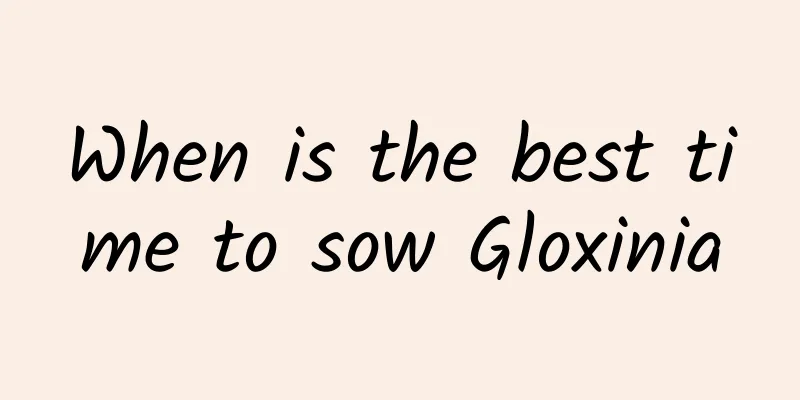 When is the best time to sow Gloxinia