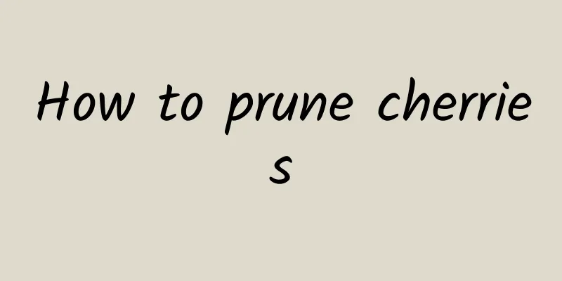 How to prune cherries