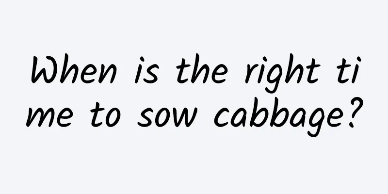 When is the right time to sow cabbage?
