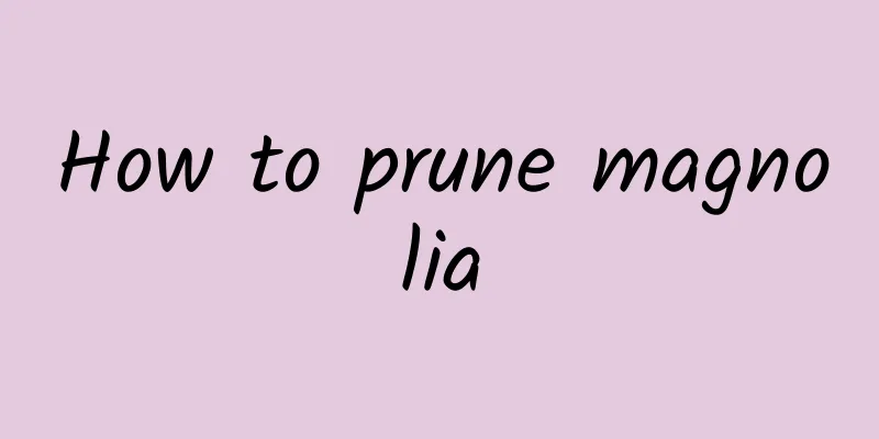 How to prune magnolia