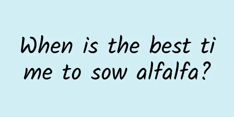 When is the best time to sow alfalfa?