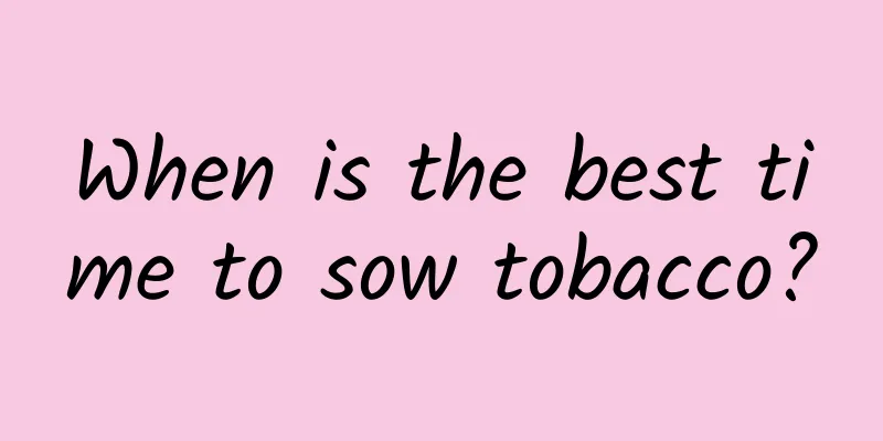When is the best time to sow tobacco?