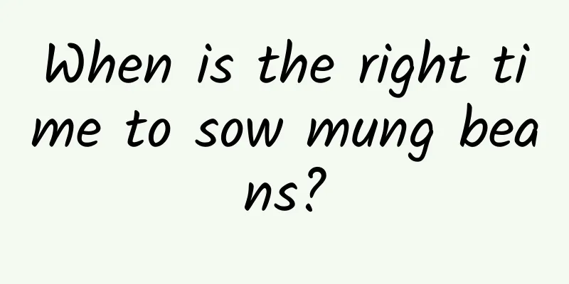 When is the right time to sow mung beans?