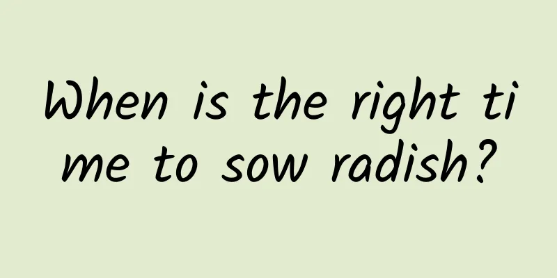 When is the right time to sow radish?