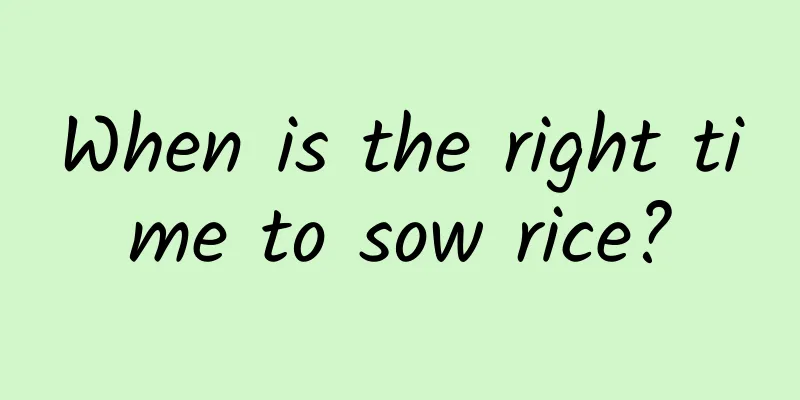 When is the right time to sow rice?