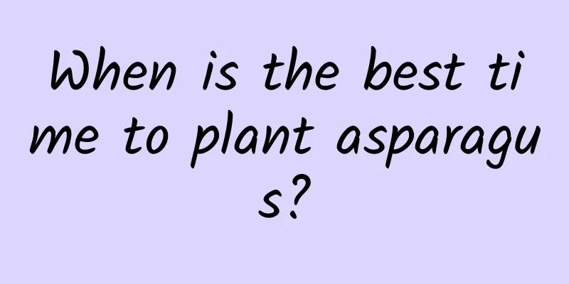 When is the best time to plant asparagus?
