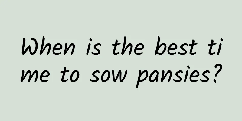 When is the best time to sow pansies?