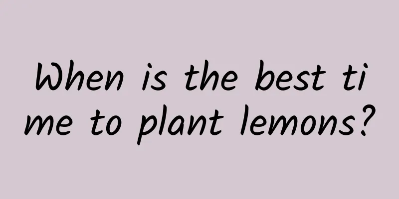 When is the best time to plant lemons?