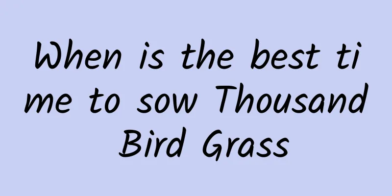 When is the best time to sow Thousand Bird Grass