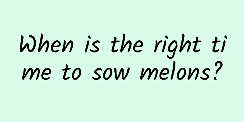 When is the right time to sow melons?