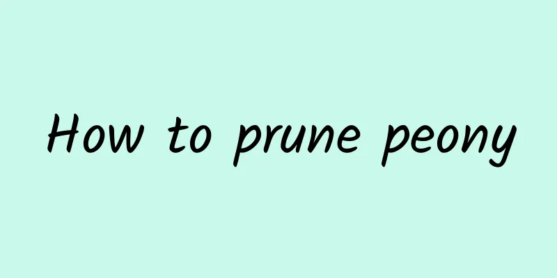 How to prune peony