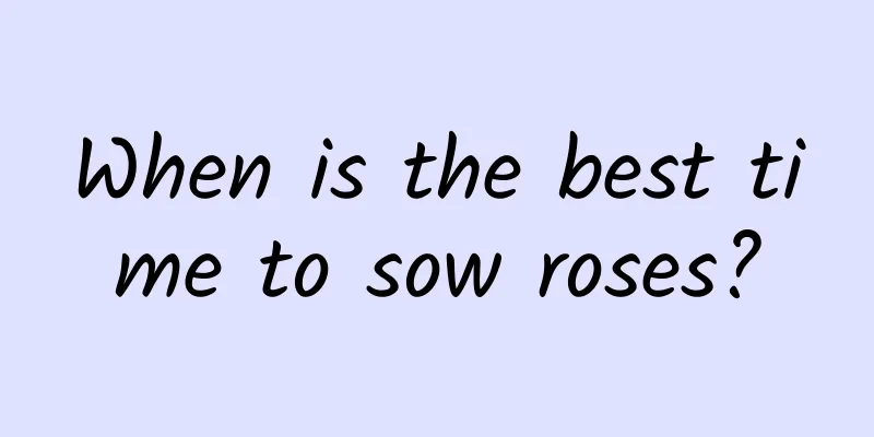 When is the best time to sow roses?