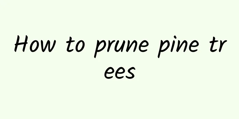 How to prune pine trees