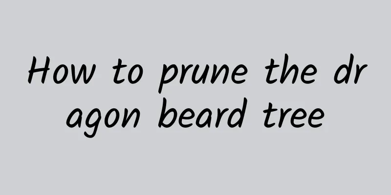 How to prune the dragon beard tree
