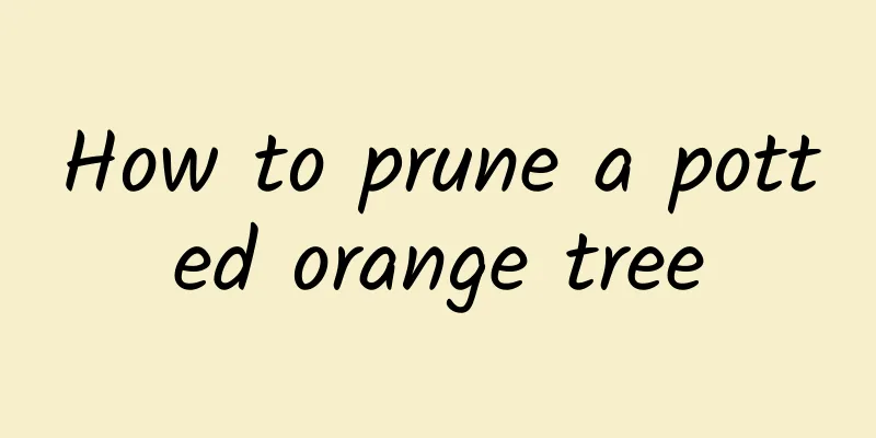 How to prune a potted orange tree