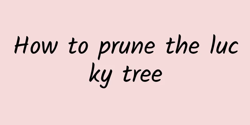 How to prune the lucky tree