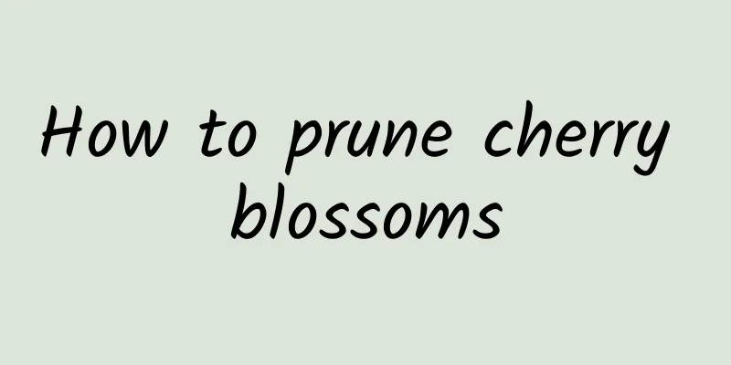 How to prune cherry blossoms