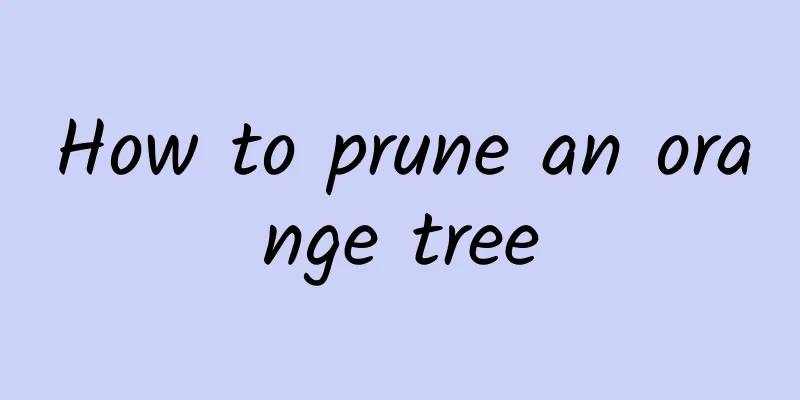 How to prune an orange tree