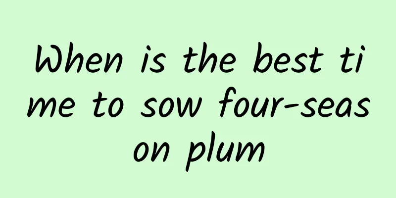 When is the best time to sow four-season plum