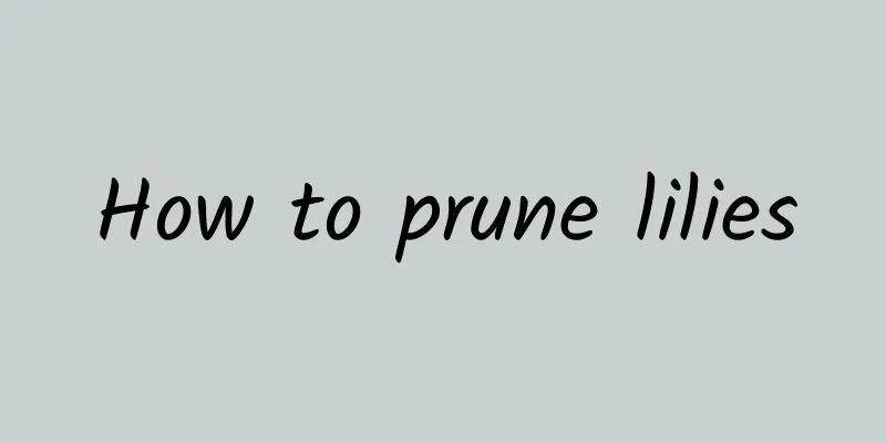 How to prune lilies
