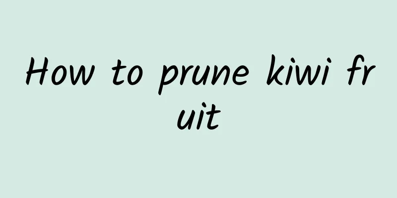 How to prune kiwi fruit