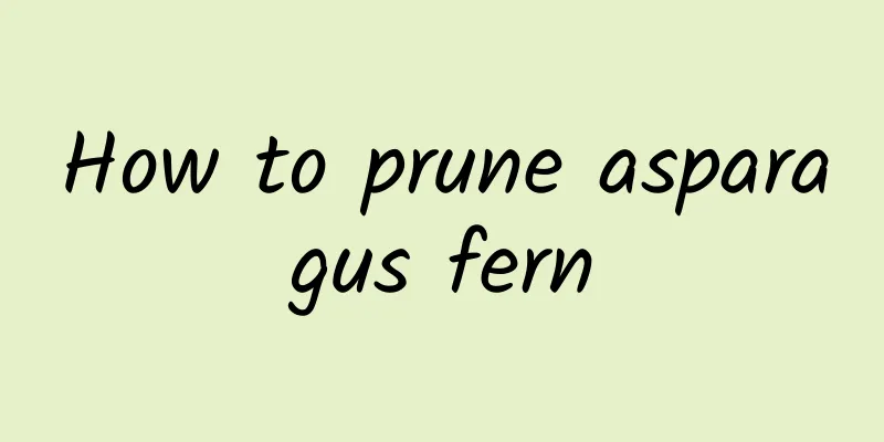 How to prune asparagus fern