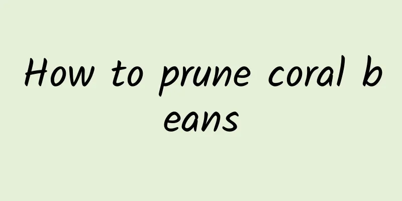 How to prune coral beans