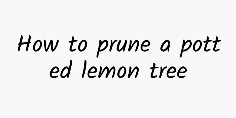 How to prune a potted lemon tree