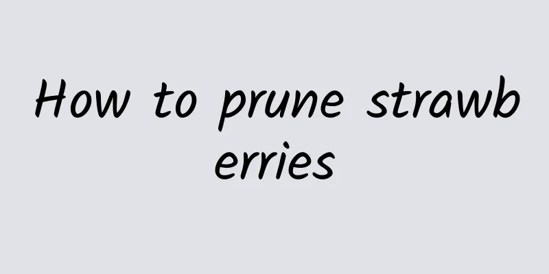 How to prune strawberries