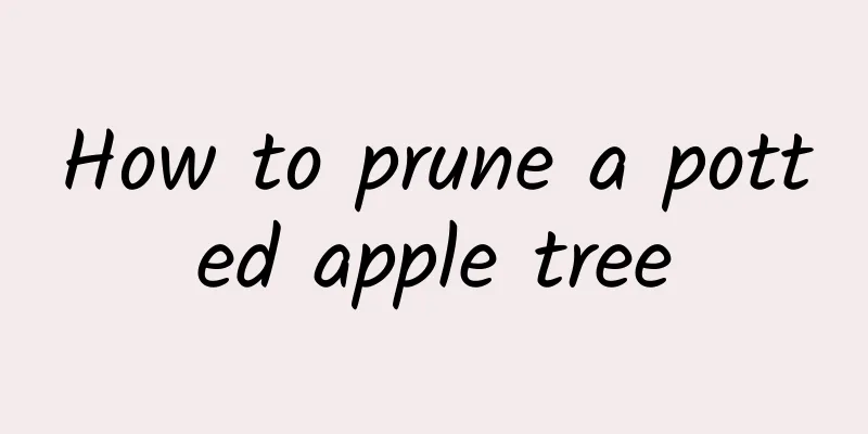 How to prune a potted apple tree