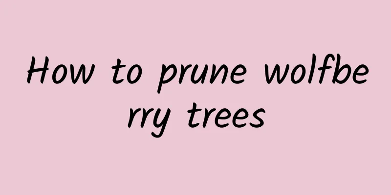 How to prune wolfberry trees