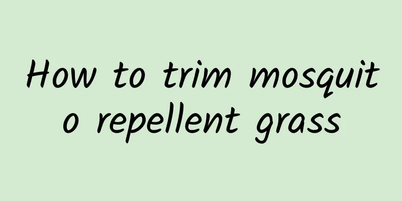How to trim mosquito repellent grass