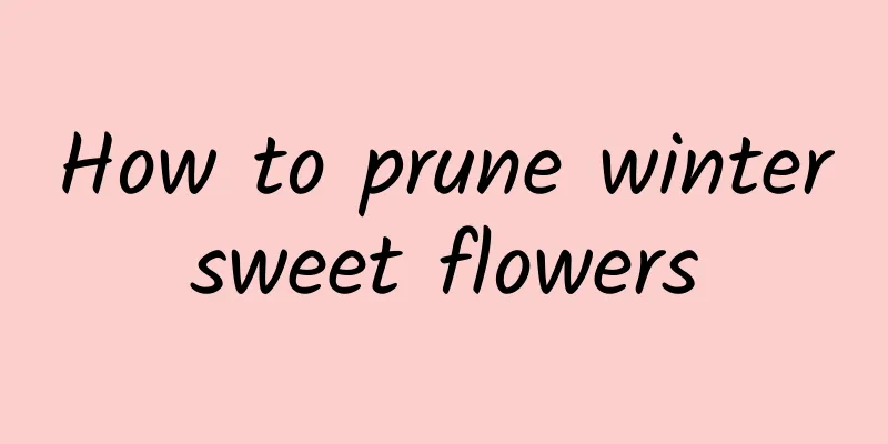 How to prune wintersweet flowers