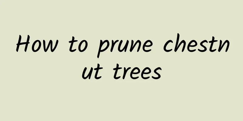 How to prune chestnut trees