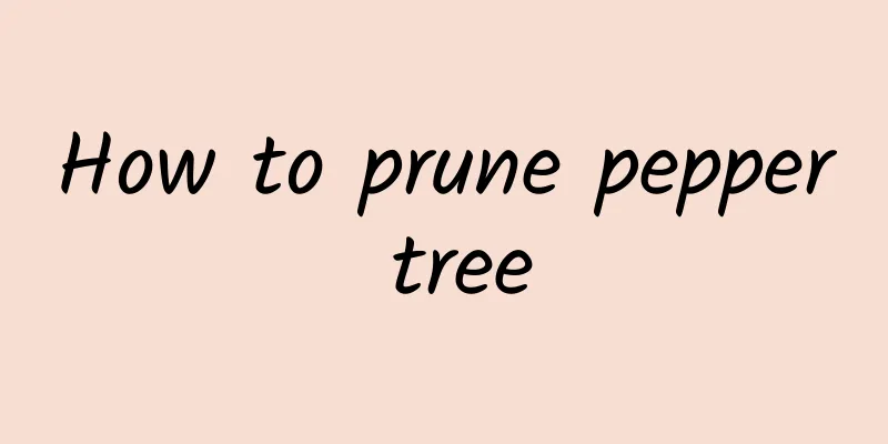 How to prune pepper tree