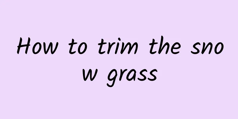 How to trim the snow grass
