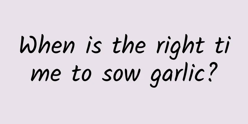 When is the right time to sow garlic?
